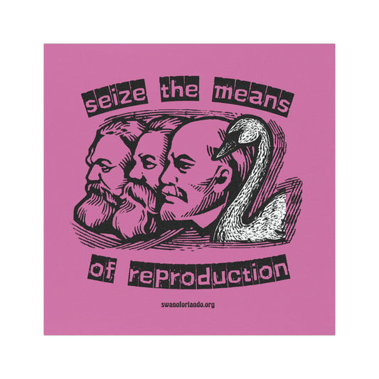 Seize the Means of Reproduction” Car Magnet